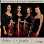String Quartet No. 61 in D Minor, Op. 76, No. 2, Hob.III:76, "Fifths": II. Andante o più tosto allegretto artwork