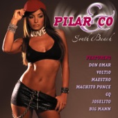 Pilar & Co. - South Beach artwork
