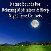 Nature Sounds for Relaxing Meditation and Sleep: Night Time Crickets - Nature Sounds