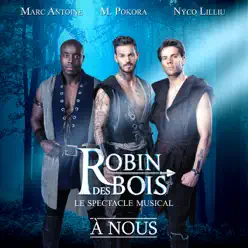 À nous (Extrait de «Robin des Bois») - Single - M. Pokora