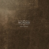 Wonder artwork