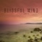 Blissful Mind (Tim Angrave Remix) - Thomas Lemmer lyrics