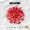 Flowerz (Alex Colle Re-Work) - Lexa Hill lyrics