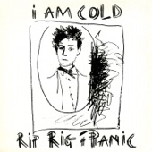 Rip Rig and Panic - You're My Kind of Climate