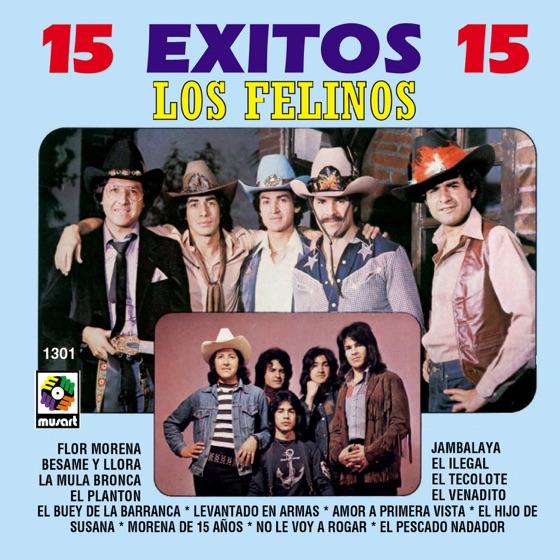 Cover artwork for El Buey de la Barranca