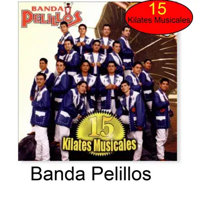 15 Kilates Musicales - Banda Pelillos