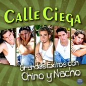 Grandes Éxitos Con Chino y Nacho (feat. Chino y Nacho) artwork