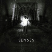 Senses artwork