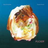 Pucker (Bonus Track Version) artwork