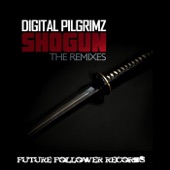 Shogun (Futureflex Remix) artwork