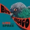 Kathy - Birds of Chicago lyrics