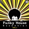 Funky House Essential - Vol. 1, 2014