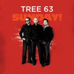 Sunday! - Tree63