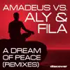 A Dream of Peace (Neptune Project Remix) song lyrics