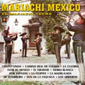 El Mariachi Suena artwork