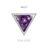 Tom Goss - Illuminate the Dark