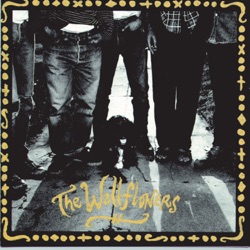 The Wallflowers - Shy of the Moon
