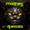 Madness - DJ Goozo lyrics
