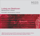 Daniel Grossmann & Ensemble28 - Symphony No. 3 in E-Flat Major, Op. 55, "Eroica": I. Allegro con brio