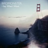Birdmonster - I Say What I Want
