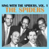 The Spiders - I Didn't Want to Do It
