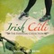 The Hayden Fancy (Polka) - The Tulla Ceili Band lyrics