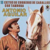 15 Corridos de Caballos - Antonio Aguilar, 1991