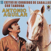 15 Corridos de Caballos - Antonio Aguilar artwork