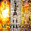 Meshuggah - Future Breed Machine
