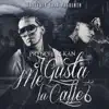 Me Gusta La Calle (feat. Prynce El Armamento) - Single album lyrics, reviews, download