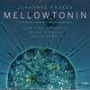 Mellowtonin (with Billy Hart, Jean Paul Brodbeck & Milan Nikolic)