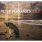 Dorothy (feat. Greg Howe) - Peter Fernandes lyrics
