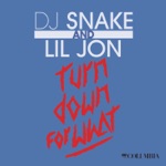 Turn Down for What by DJ Snake & Lil Jon