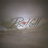 Rise / Fall - Single