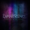 Evanescence - What You Want