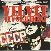 Velvet Revolution, 2014