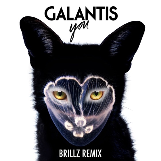 Cover artwork for You (Brillz Remix)