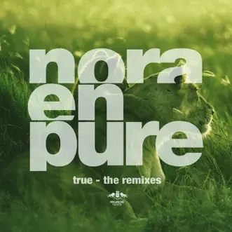 True (Mark Lower Remix) by Nora En Pure song reviws