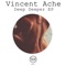 Call Me - Vincent Ache lyrics