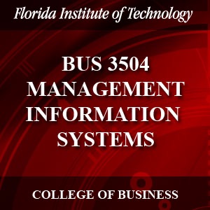 BUS 3504 Management Information Systems cover