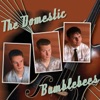 The Domestic Bumblebees, 2006