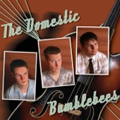 The Domestic Bumblebees - You Ain't Too Old