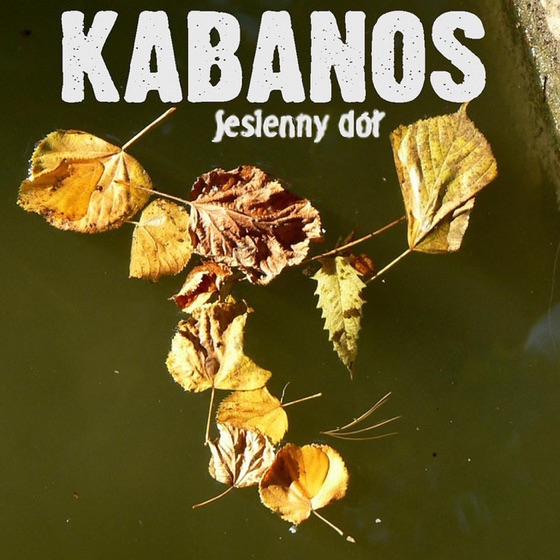 Cover artwork for Robaczek