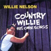 Country Willie: His Own Songs artwork