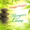 Flangers Love - Flanger-Project lyrics