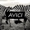 Avici - Emmett Zetto & Mendeson lyrics
