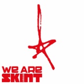 We Are Skint artwork