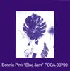 Blue Jam [Remaster] album lyrics, reviews, download