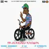 I'm Already Knowin - Single album lyrics, reviews, download