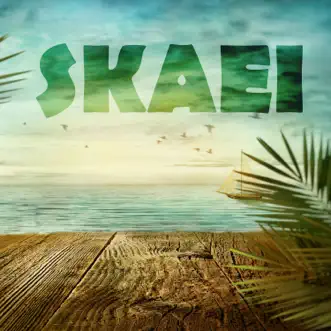 Skaei by Skaei album reviews, ratings, credits